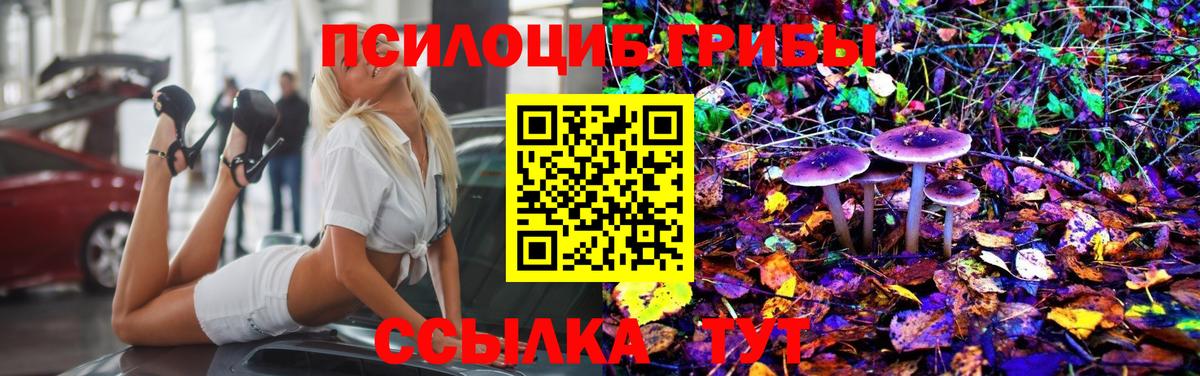 Галлюциногенные грибы ЛСД  Галлюциногенные грибы прущие грибы  Минусинск  наркошоп  Вход с VPN 